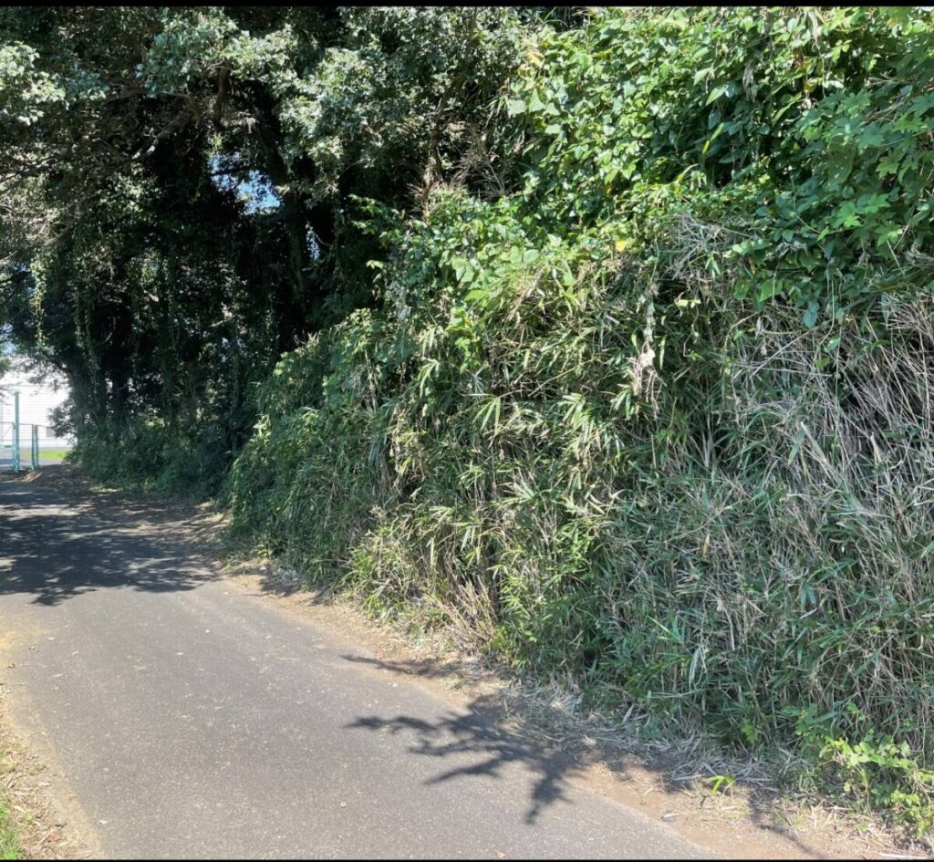 綾瀬市 山林 821㎡